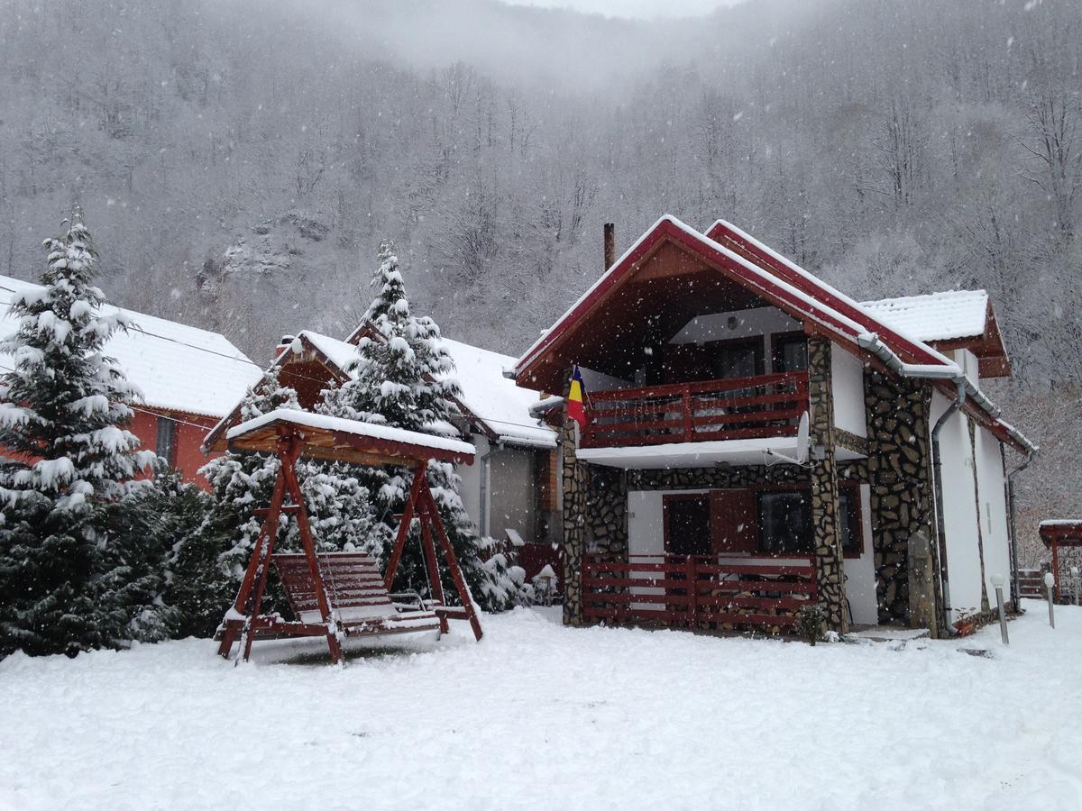 Cabana Florea Villa Rîu de Mori Eksteriør billede
